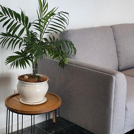 Hotel Alice House Auckland Zewnętrze zdjęcie